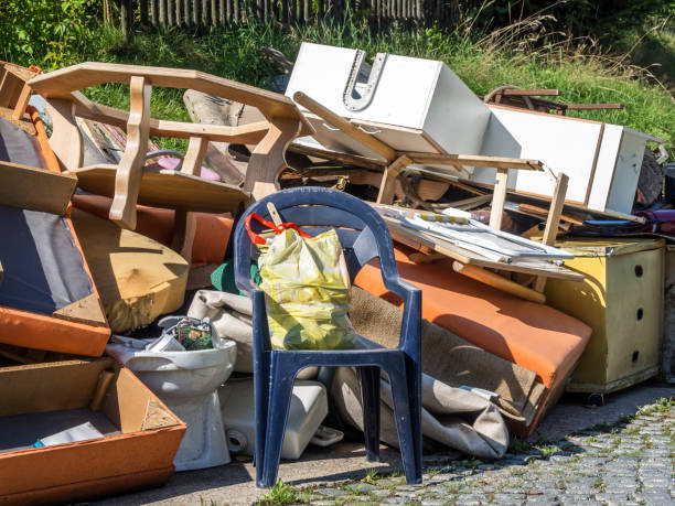 Best Electronics Removal Services  in Niles, MI