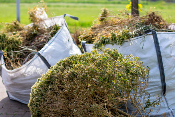 Best Estate Cleanout Services  in Niles, MI