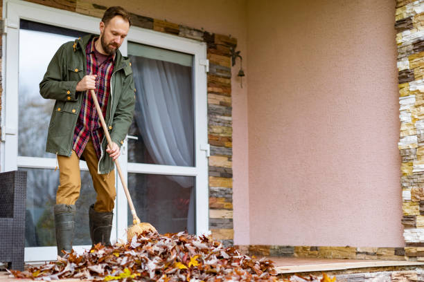 Best Attic Cleanout Services  in Niles, MI