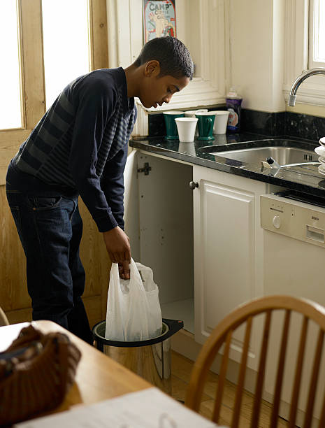 Best Household Junk Removal  in Niles, MI
